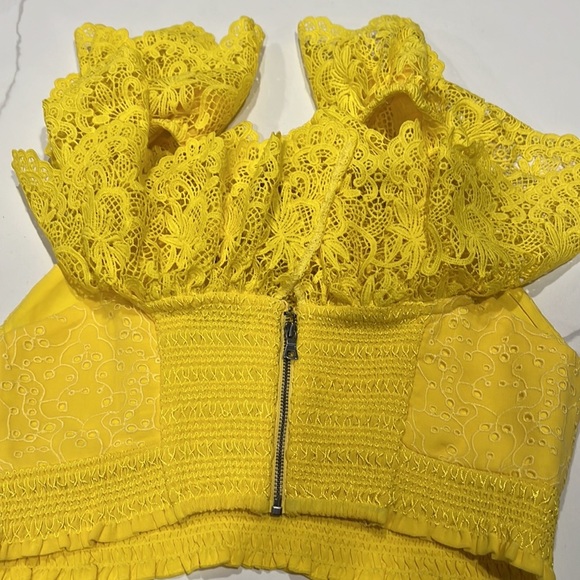 Alice + Olivia Bleeker Ruffled Lace Crop Top - Picture 6 of 9